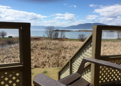 À l'extérieur du Berceau de l'Anse - Faites l'observation d'oiseaux aquatiques