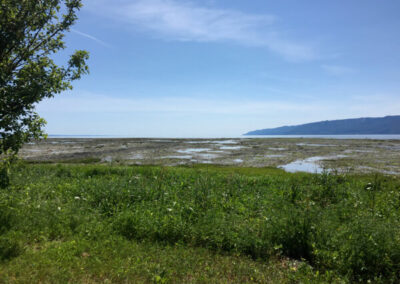 À l'extérieur du Berceau de l'Anse - Explorez les battures de l’île